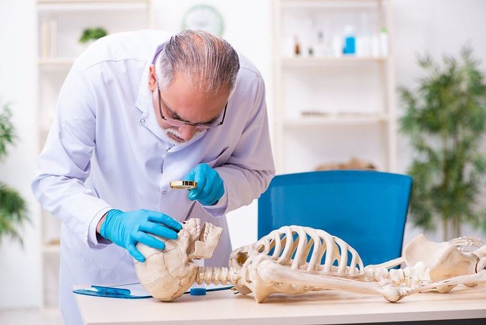 Doctor examining a skeleton with lens.