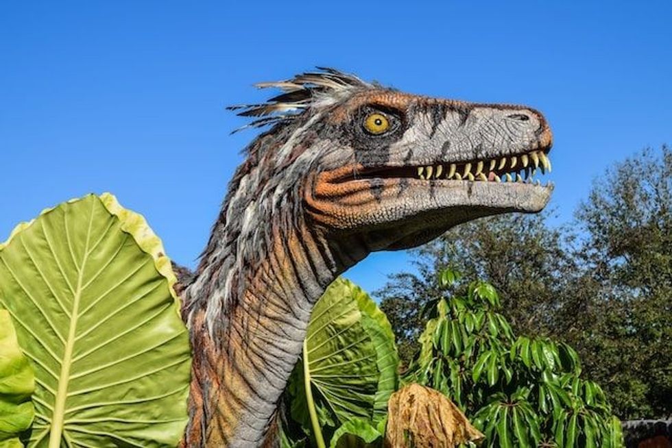 Domeykodactylus facts are about a pterosaur genus and its mandible belonging to the Early Cretaceous period.