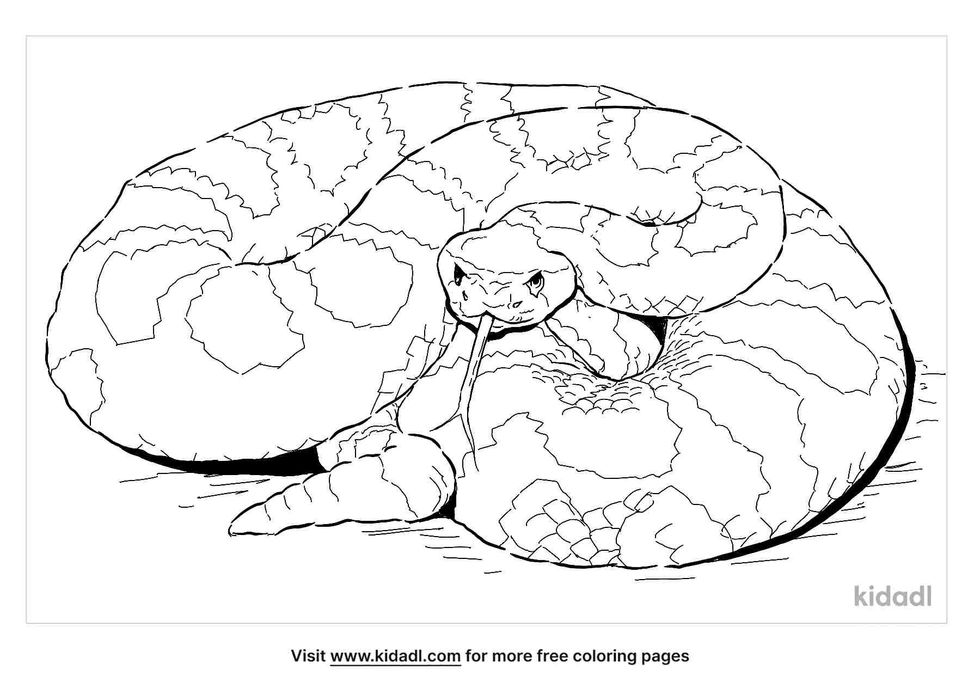 Download this rattlesnake coloring page.