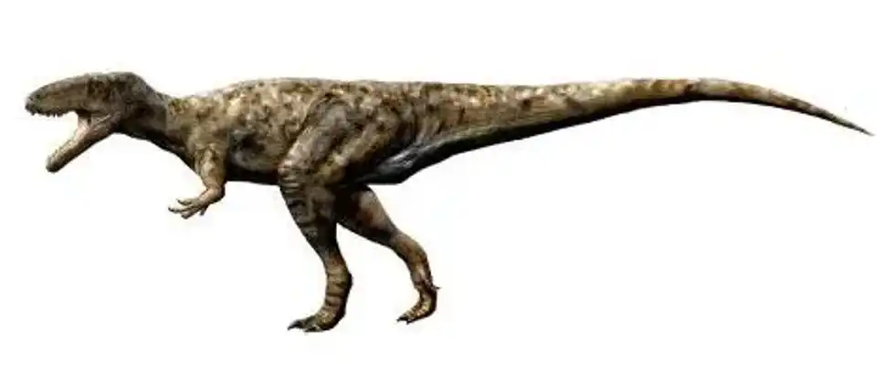 Duriavenator facts are interesting.