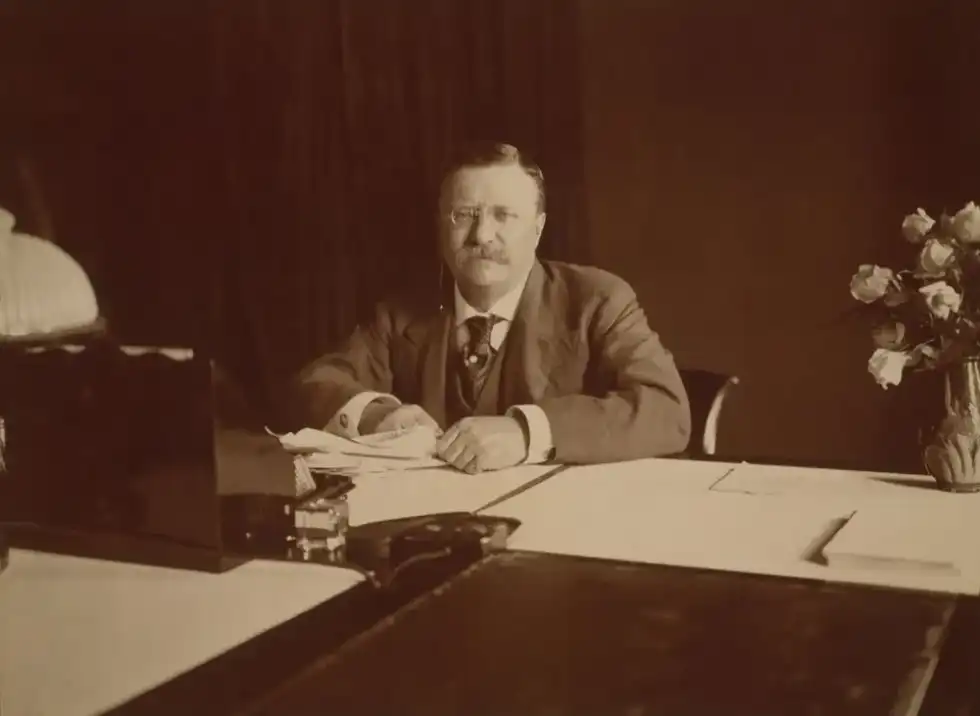 During Teddy Roosevelt's presidency, he expanded the number of national parks.