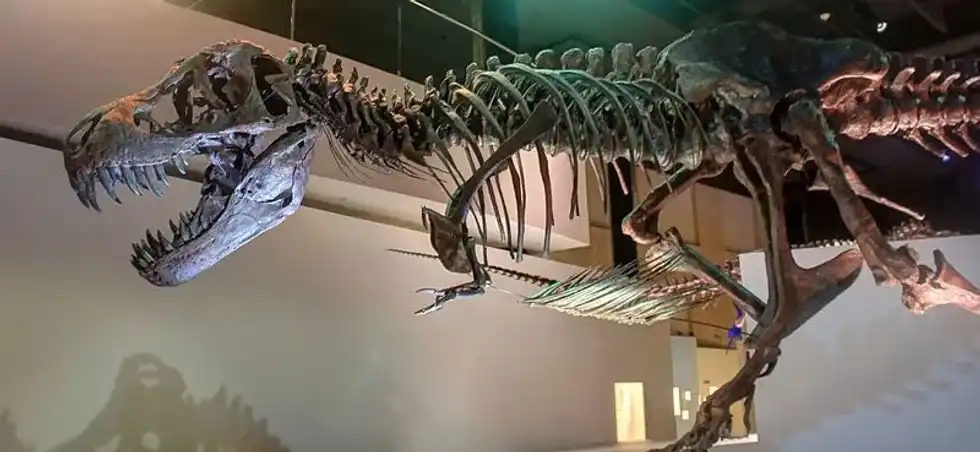 Dynamoterror facts are about a dinosaur found in the middle of New Mexico.