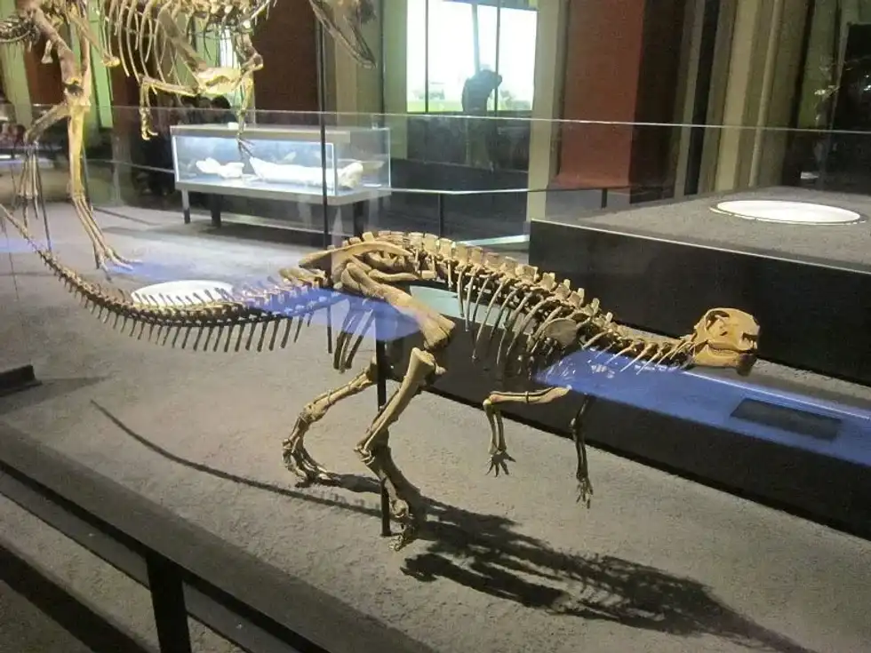 Dysalotosaurus facts are fascinating.