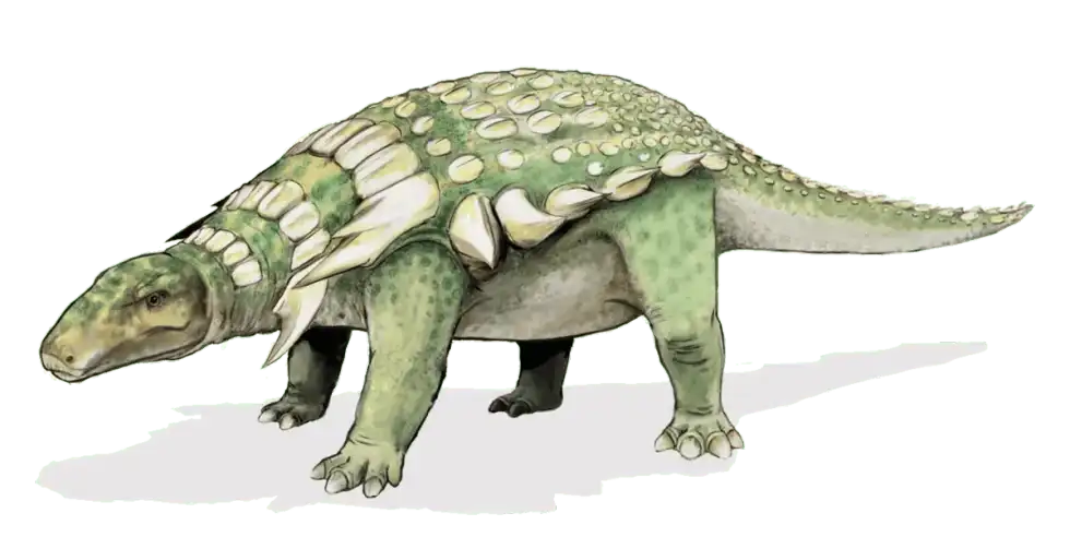 Dystrophaeus facts are amusing!