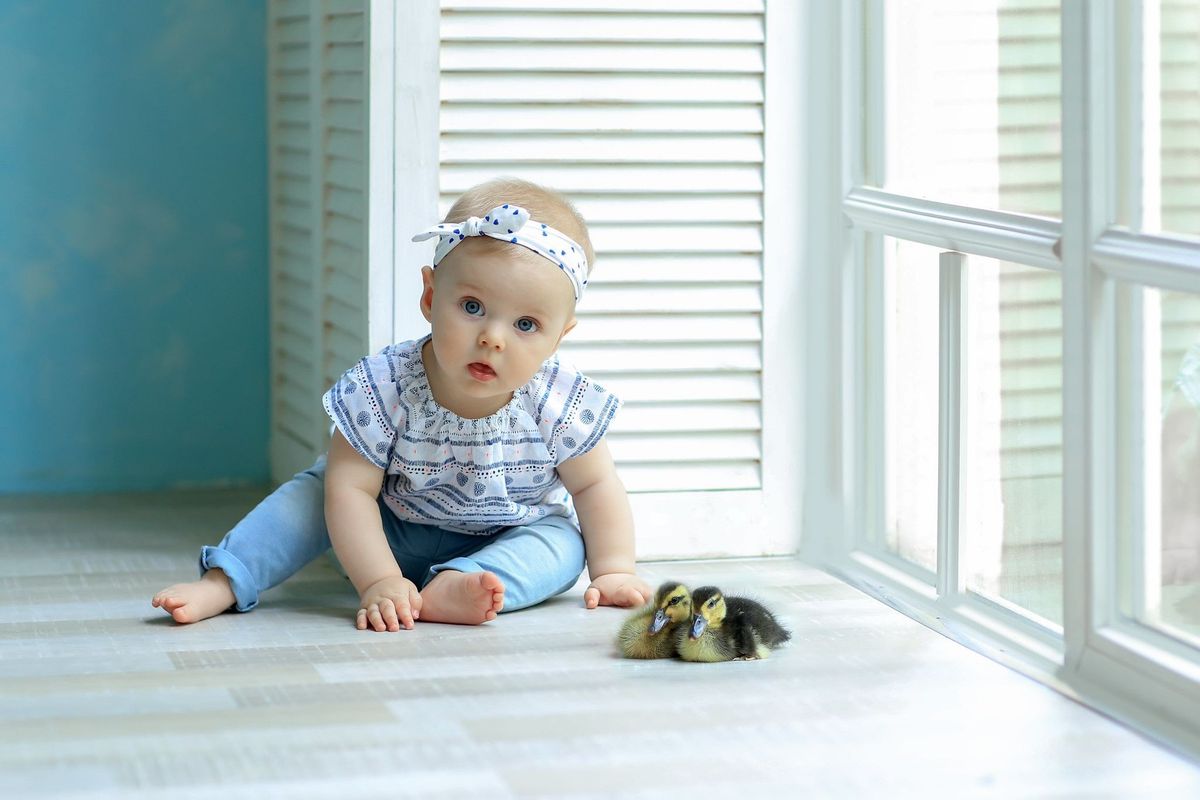 Ellie baby with blue eyes sitting at the window in a nice suit  - Nicknames