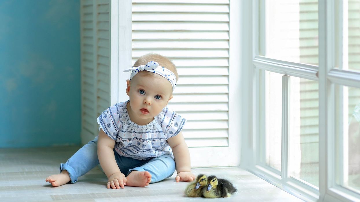 Ellie baby with blue eyes sitting at the window in a nice suit - Nicknames