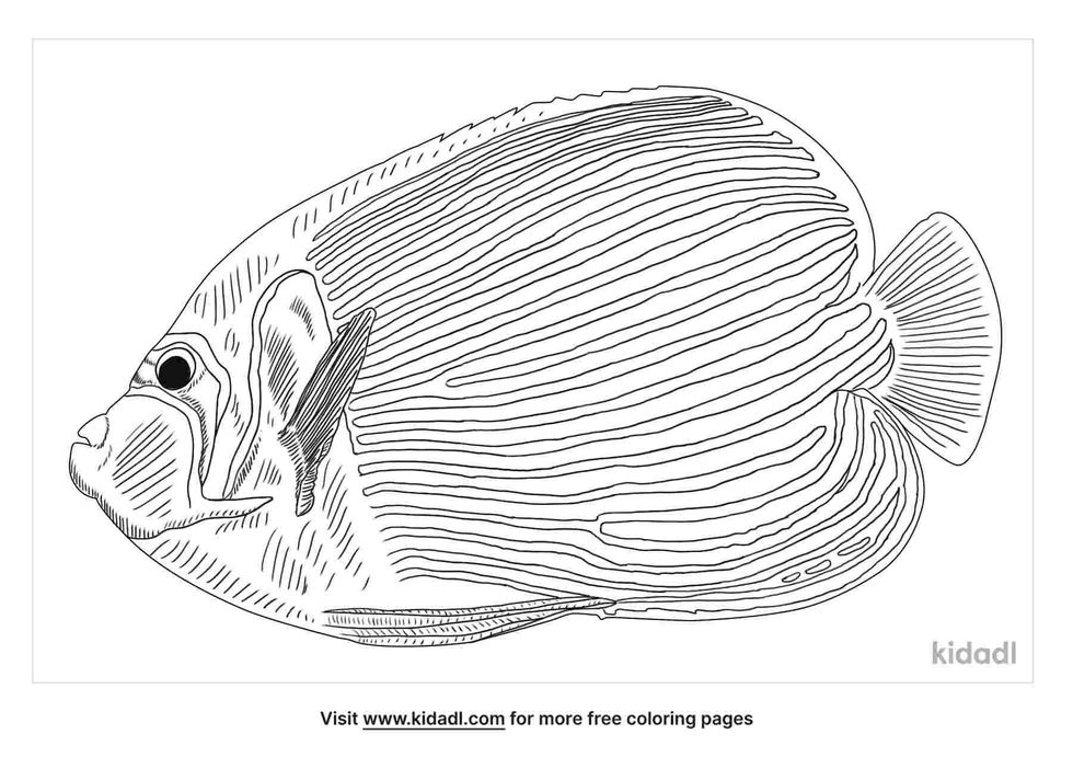 Emperor Angelfish coloring pages for kids.