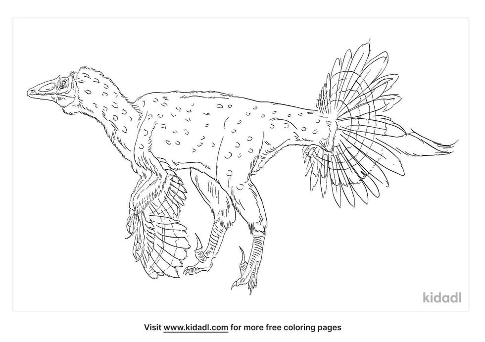 Enjoy coloring this amazing Paronychodon dinosaur.