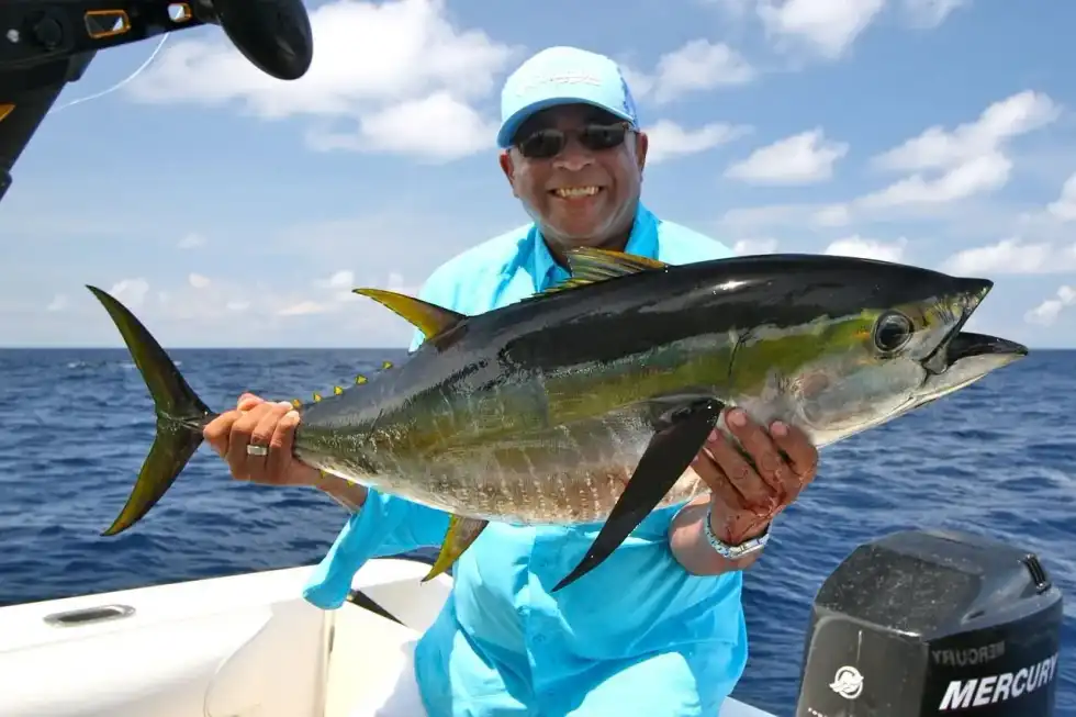 Enjoy these yellowfin tuna nutrition facts. It contains the nutrient vitamin B, which is important for brain health.