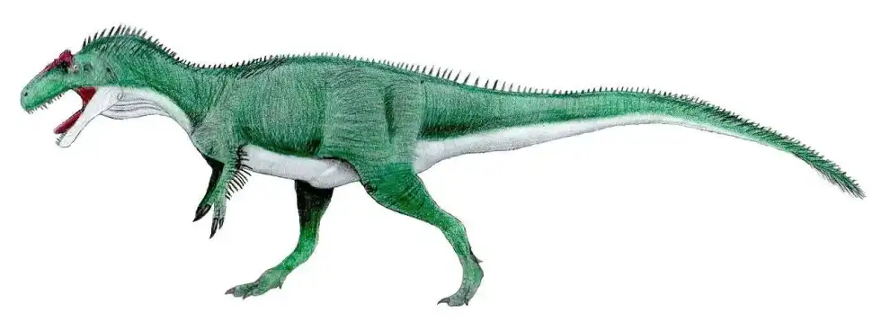 Epanterias facts are for all dinosaur lovers.
