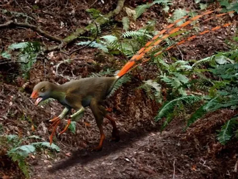 Epidexipteryx facts include that they are an ancestor of modern birds.