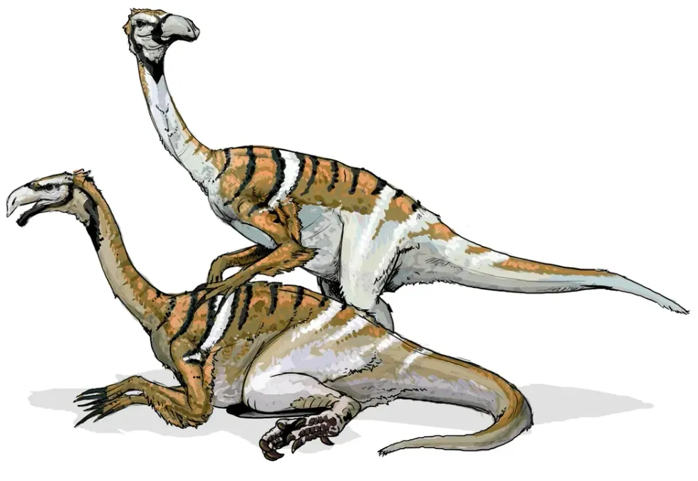 Erliansaurus facts talk about its skeletal restoration.