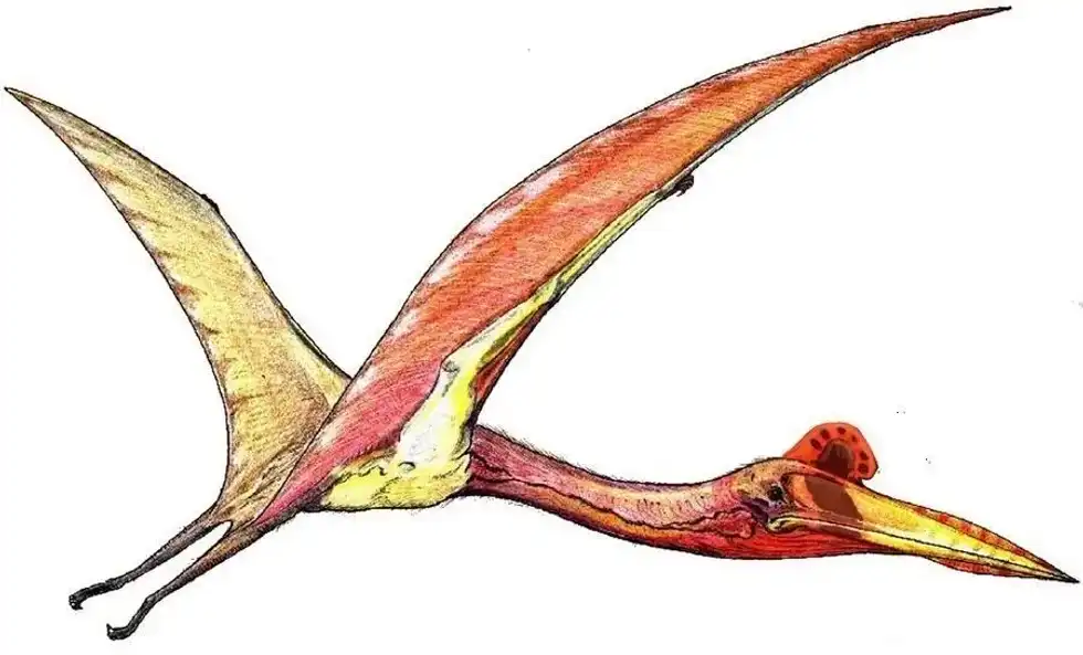 Eurazhdarcho facts is from the Late Cretaceous era.