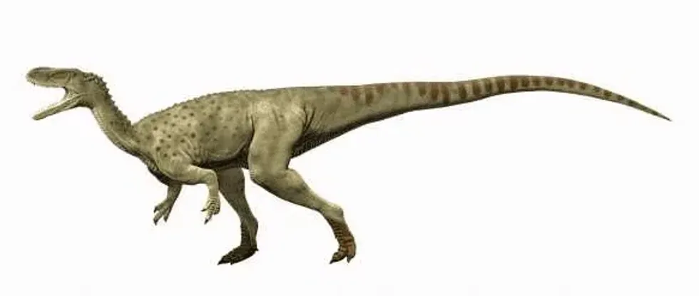 Euskelosaurus facts are interesting.