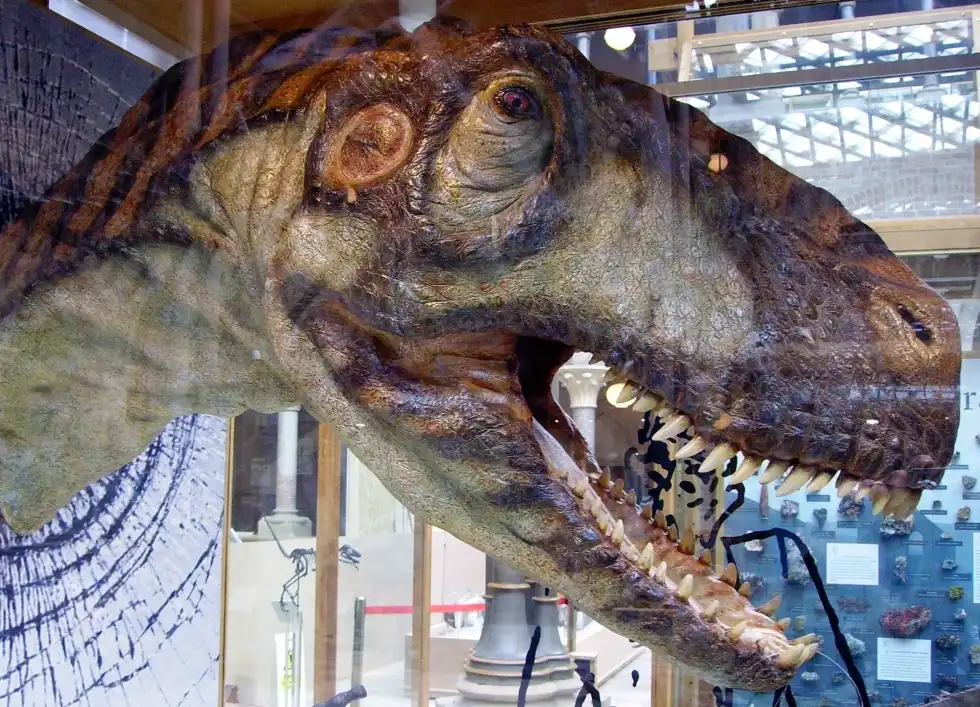 Eustreptospondylus facts are interesting.