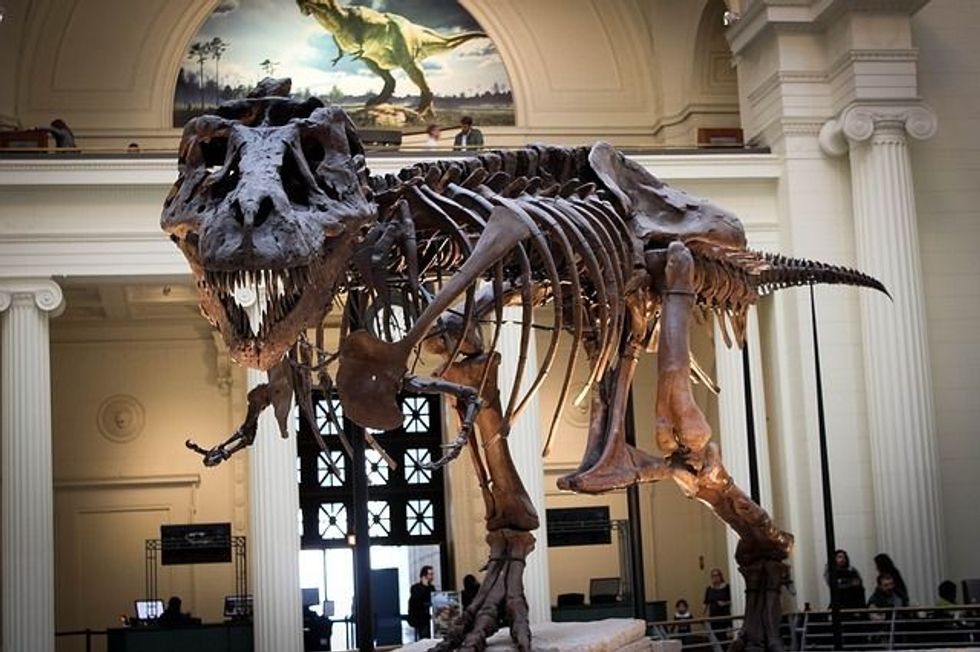 Every natural history student is interested in T-Rex names from the Jurassic era.