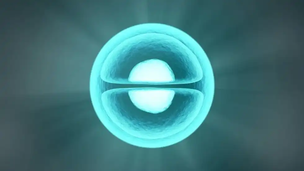 Every organism starts with one cell that undergoes cell division.