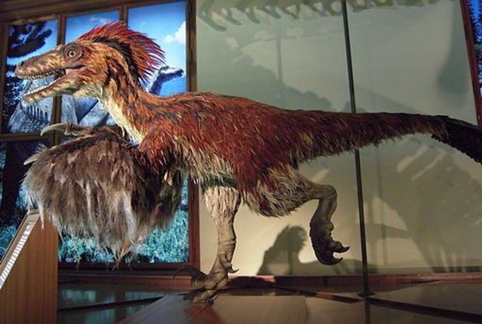Everybody likes to read Shenzhousaurus facts.