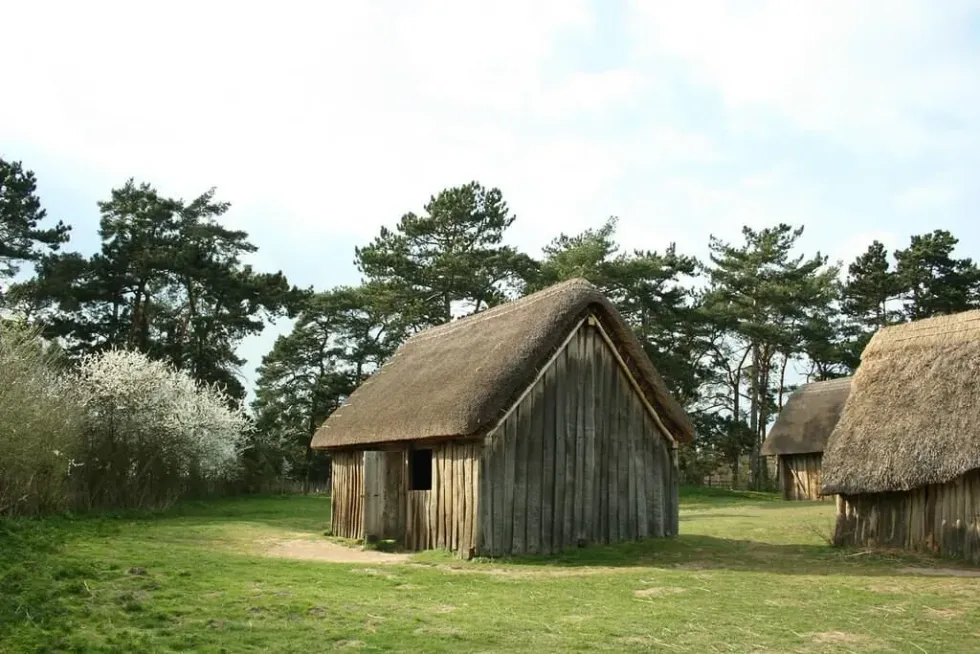 Example of a Saxon Home for the Fact File For Kids