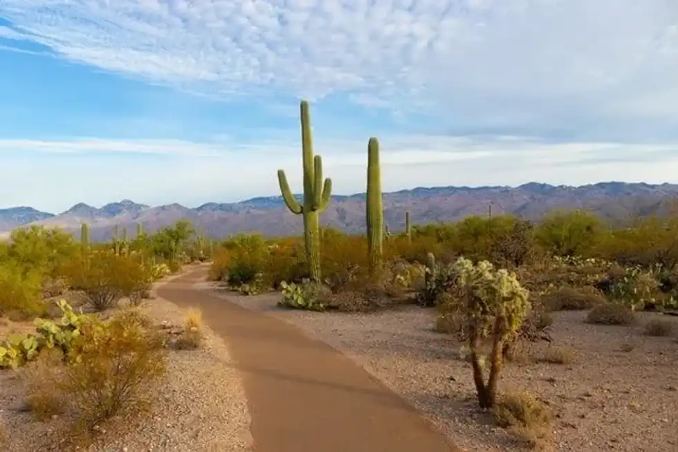 Exciting things to do in Arizona with your kids include visiting Camp Verde.