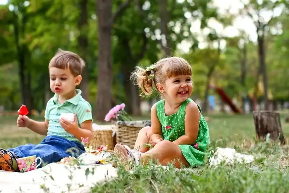 Experiences in a family picnic