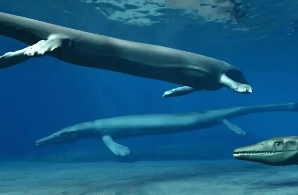 Explore more about this animal by going through these Clidastes facts.