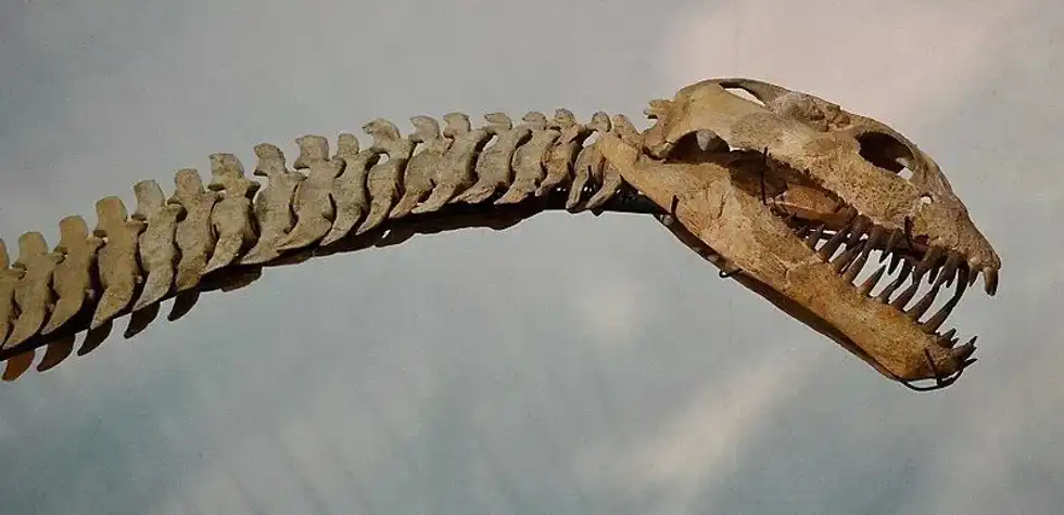 Explore more about this animal by reading these Zarafasaura facts.