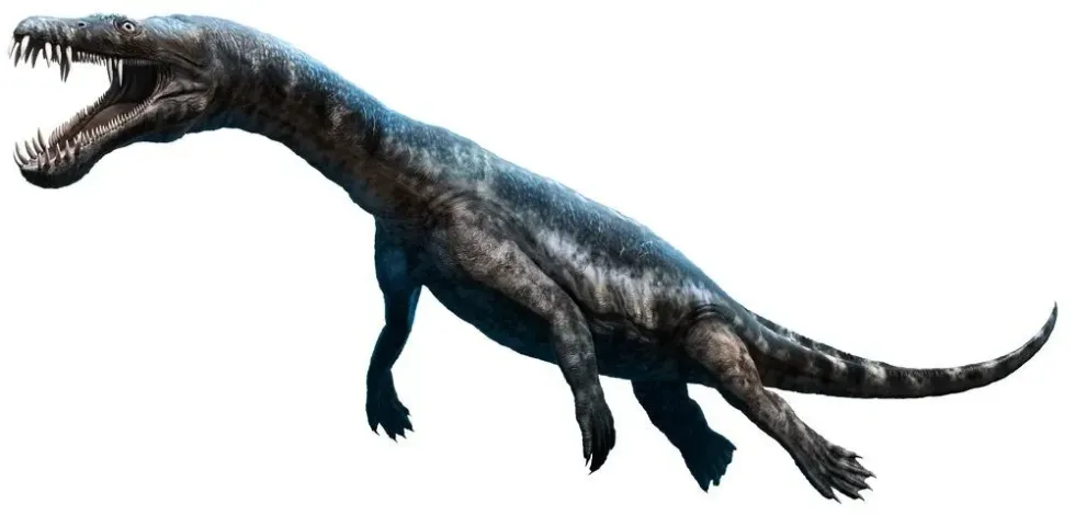Explore more about this reptile by reading these Nothosaurus facts.