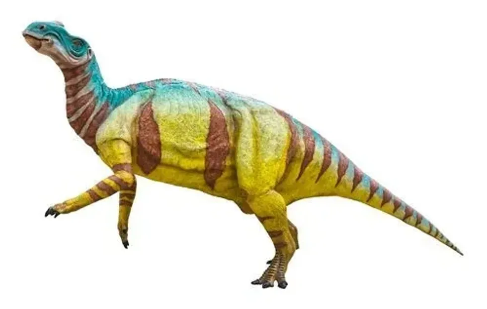Explore new information about prehistoric animals with the Aralosaurus facts.