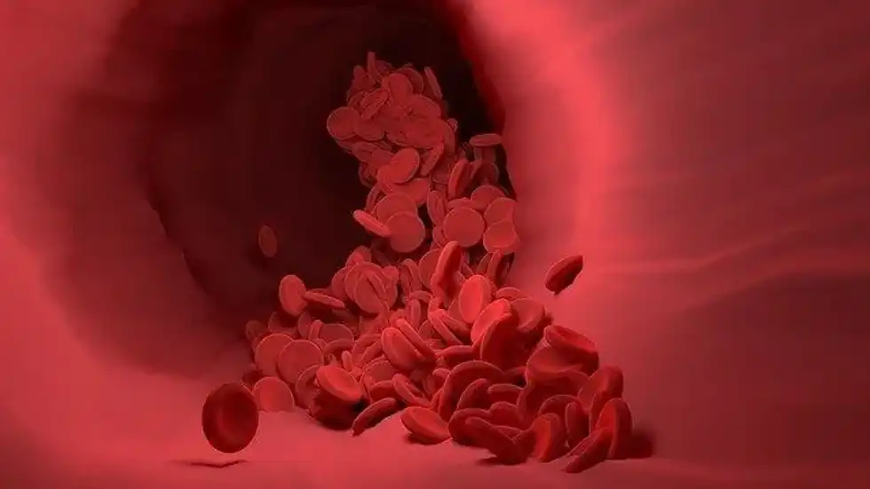 Facts about capillaries will help you better understand the role of the blood-brain barrier.