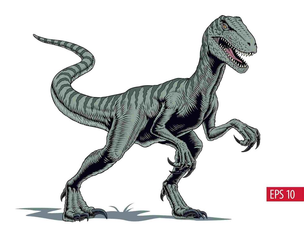 Facts about habitat and size of Saurornitholestes.