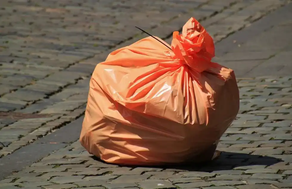 Facts about plastic will help you make an informed choice when it comes to your grocery bags.