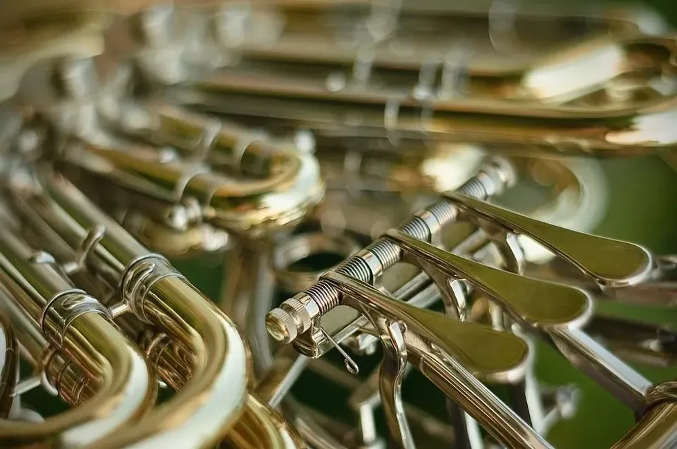 Facts about the French horn will educate you about brass instruments used in Symphony Orchestra.