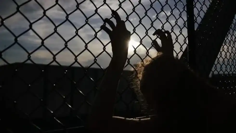 Facts about World Day Against Trafficking In Persons will blow your mind