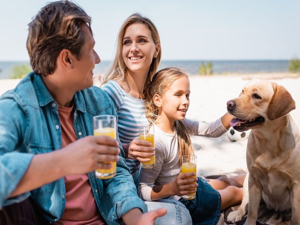 Can Dogs Drink Orange Juice? Here's All You Need To Know! Kidadl