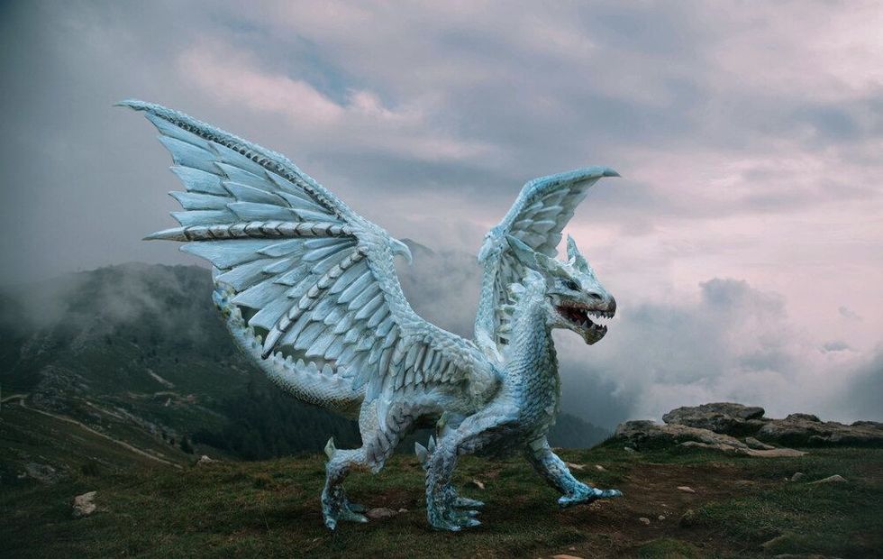 Fantasy dragon stands on the top of the mountain