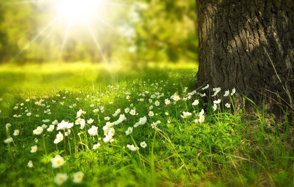 Female Native American names are inspired by the lovely nature and environment.