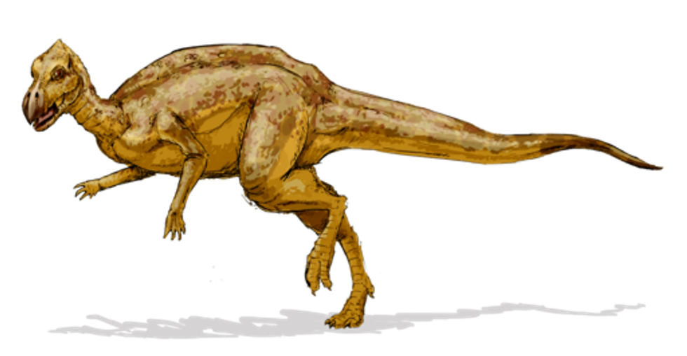 Feraganasauras facts shed light on this amazing creature!