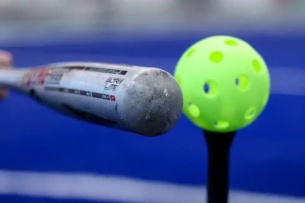 Find out more about National Wiffle Ball Day.