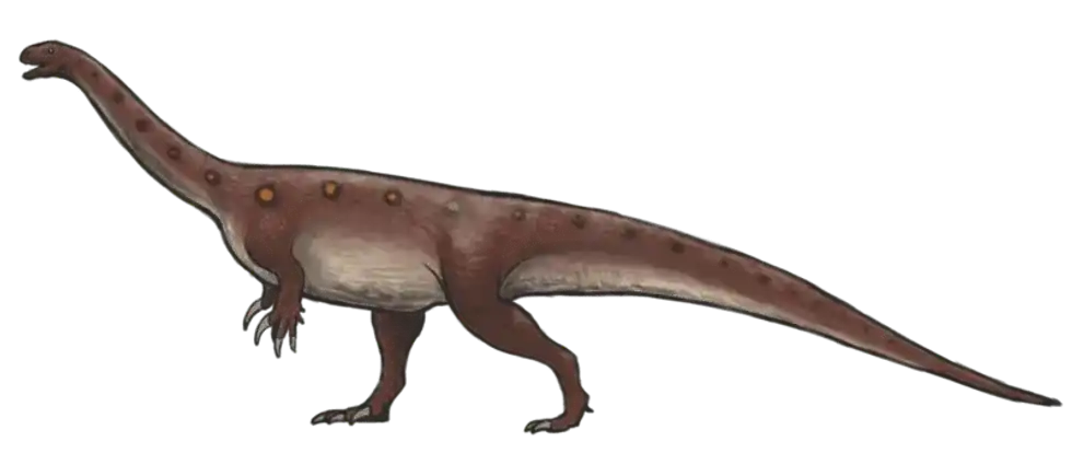 Find out more about one of the oldest known dinosaurs from the Late Triassic with the interesting Chromogisaurus facts.