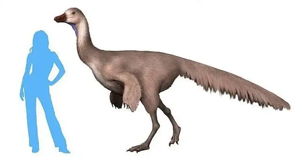 Find out the most amazing 15 Arkansaurus facts for your kids and family.