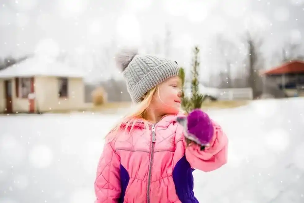 Find your favorite cold quotes to remember this winter season