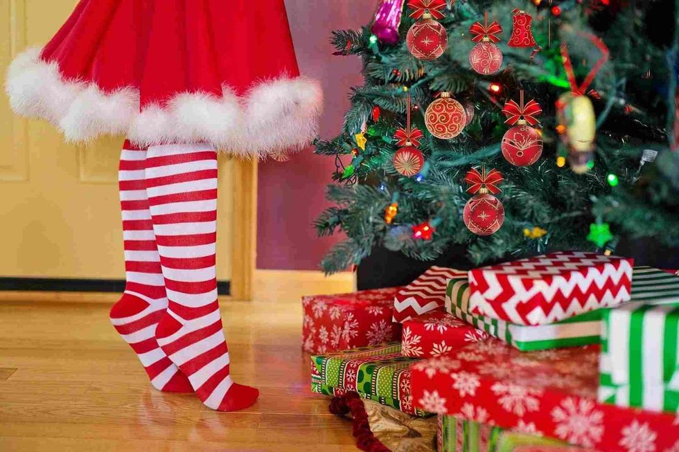 Fir is the most popular choice for Christmas Trees.