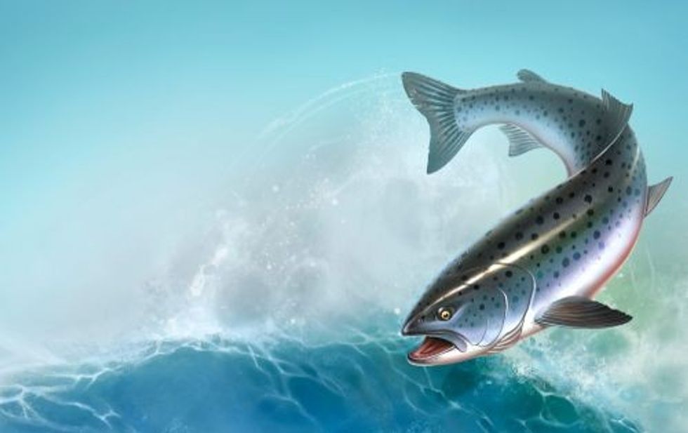 Fish food is loved by everyone.