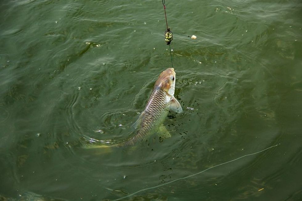 Fishing in the sea
