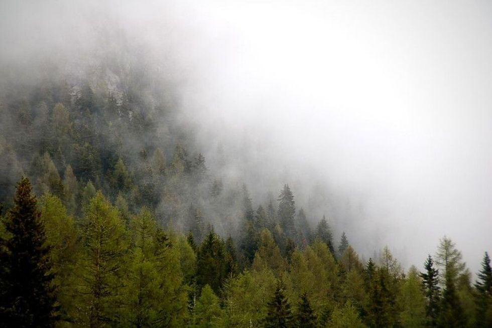 Foggy clouds rising from dark alpine mountain forest.