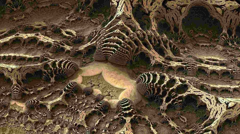 Fossil records for future generations