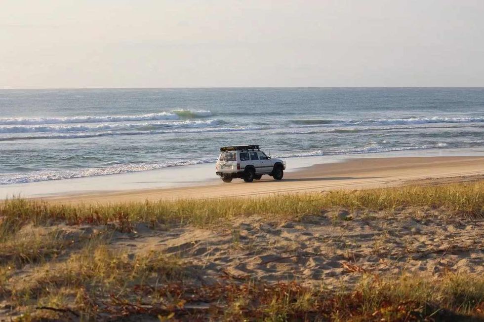 Fraser Island is home of bird species
