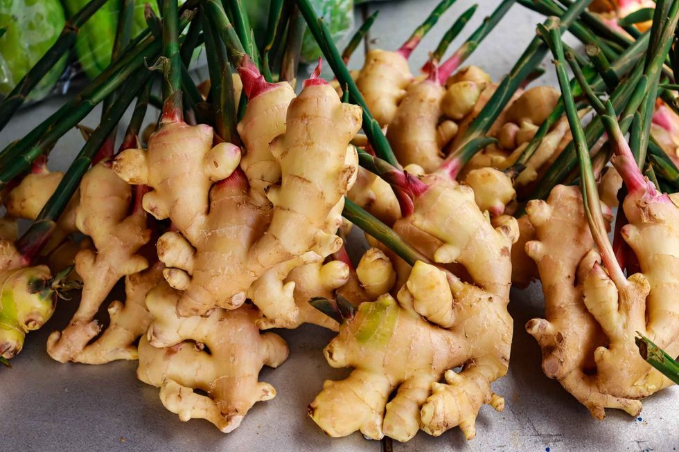 Fresh ginger plant