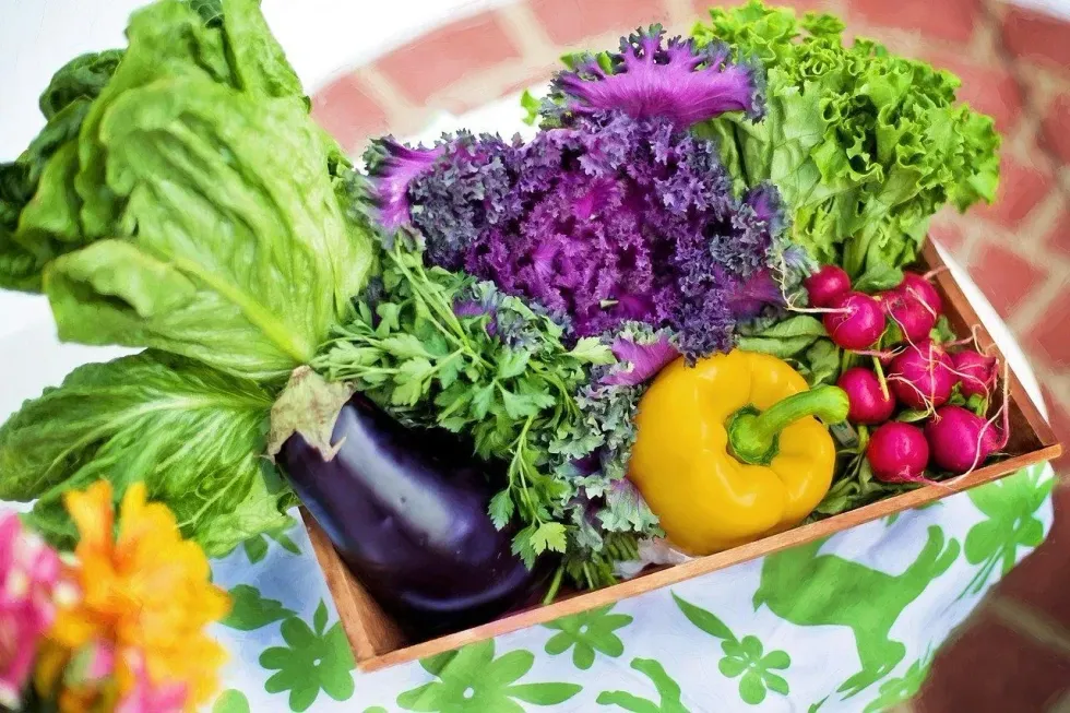 Fresh Veggies Day is celebrated globally on June 16.